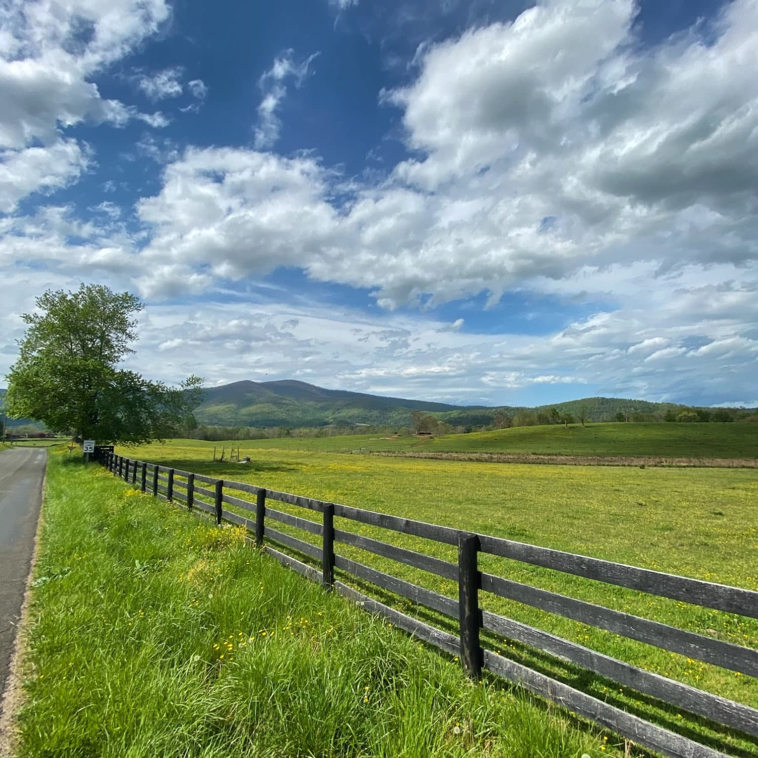 A scenic view of a lush green field with a wooden fence, under a partly cloudy sky and distant mountains.